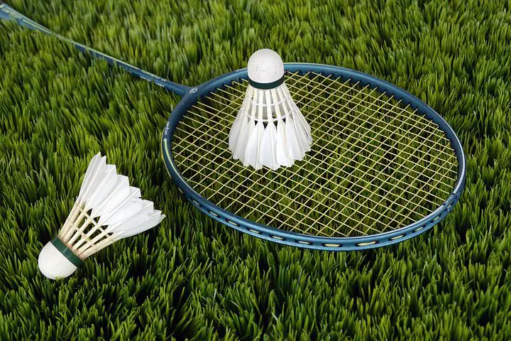 Como Fazer Apostas em Badminton: Dicas e Estratégias