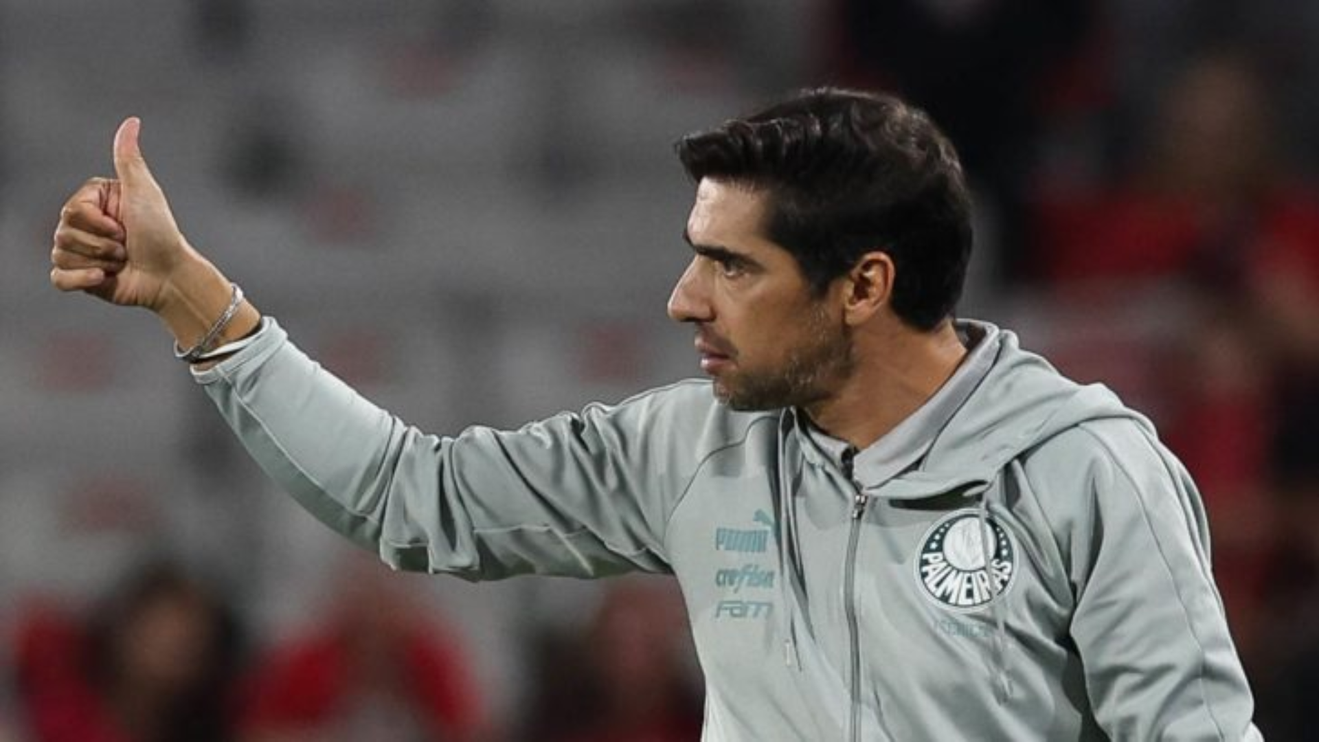 Elenco Palmeiras 2025: veja as novidades