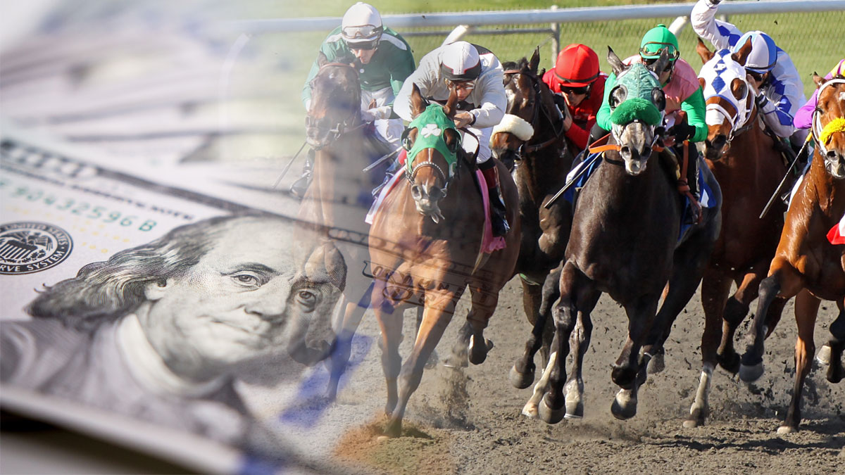 Guia Completo: Como Apostar em Corridas de Cavalos e Maximizar Suas Chances