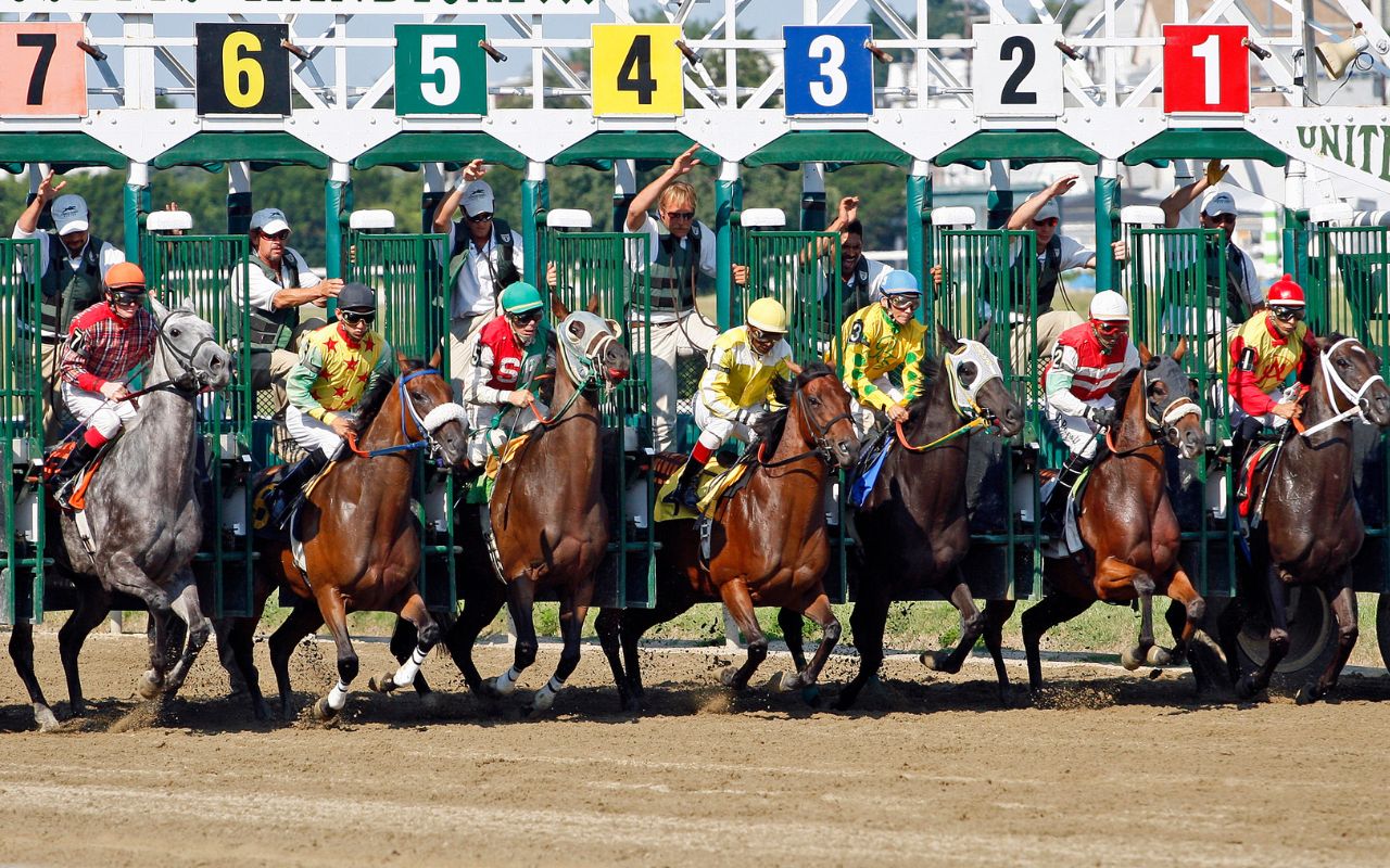 Como Apostar em Cavalos: Top Dicas para Iniciantes