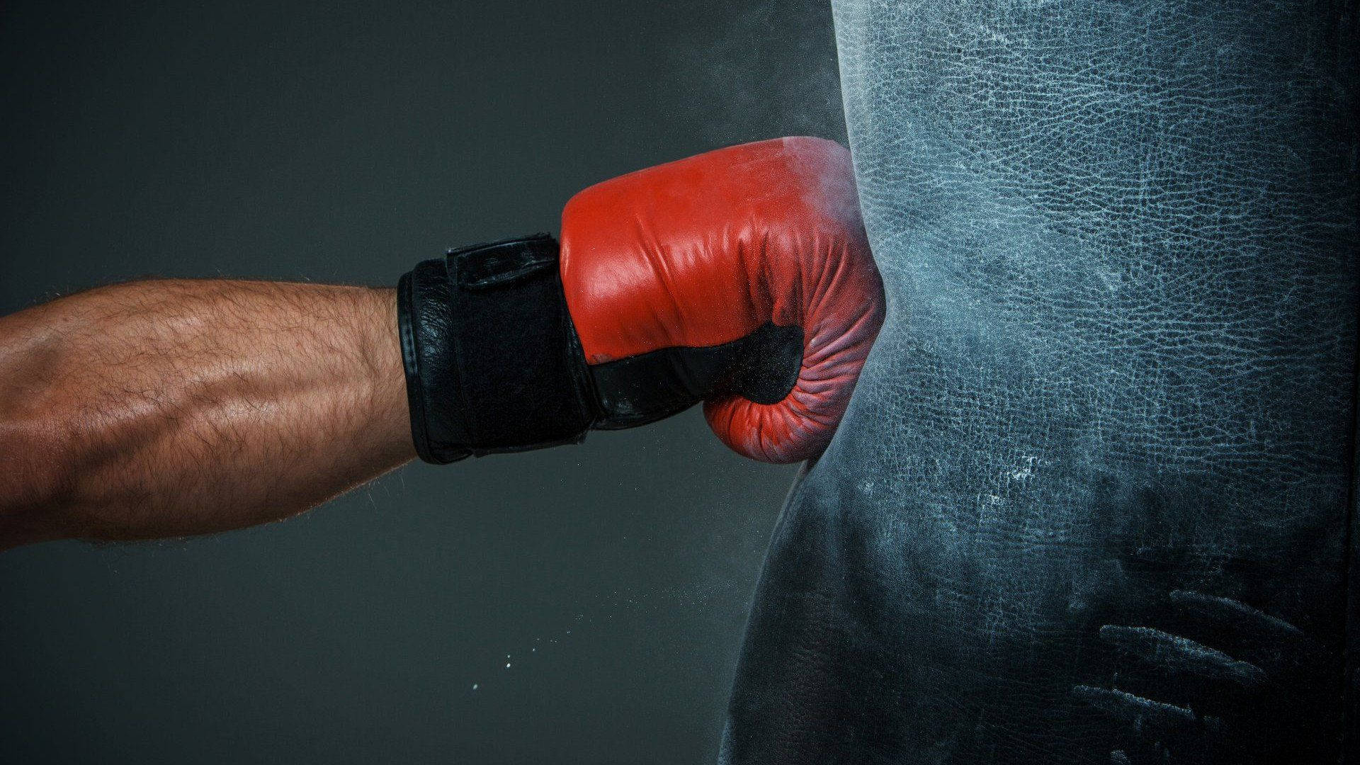 Melhores luvas de boxe: Top modelos para treinos e competições + dicas de compra