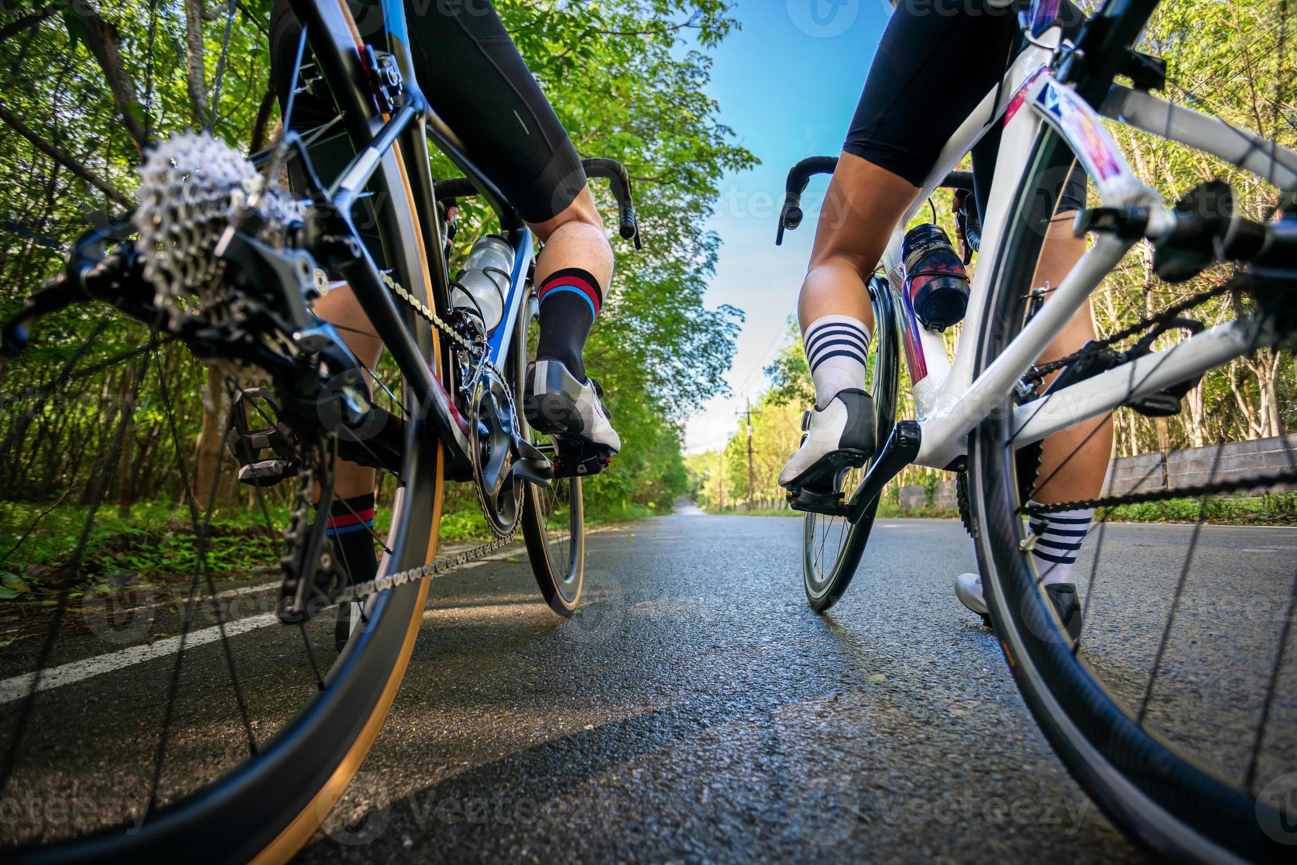 Como Escolher uma Bicicleta para Competições: Guia Completo
