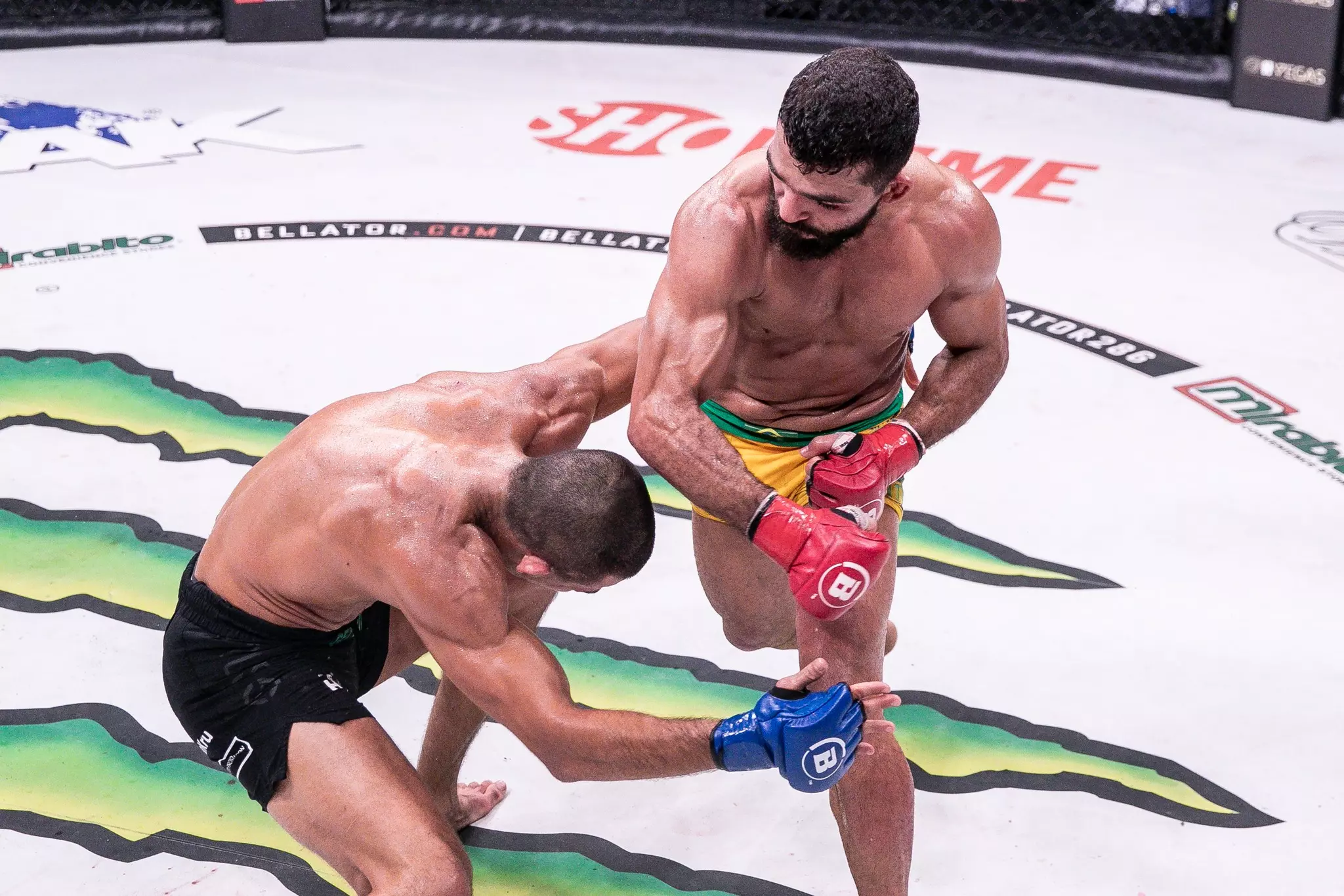 Estrategias apostas bellator lutadores top | Dicas infalíveis para apostar