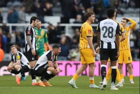 Brighton vs Newcastle United – Análise e Palpite Premier League (18/10/2025)