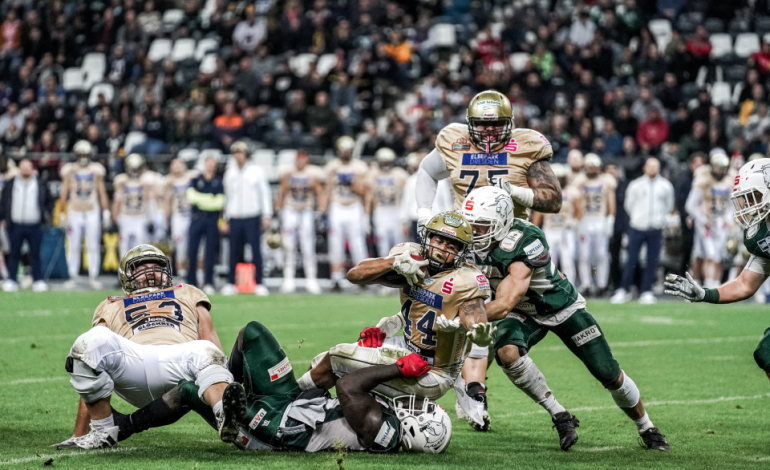 Entendendo a Estrutura: Como a NBA﻿, NFL﻿ e NHL﻿ Funcionam