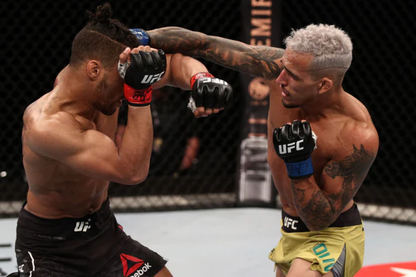 Lutas confirmadas para fevereiro 2026: análises e palpites recomendados